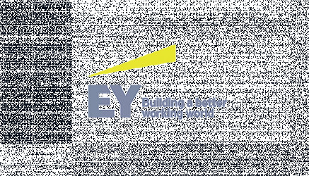 EY | Consulting.us
